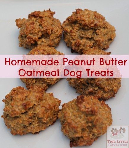 Homemade Peanut Butter Oatmeal Dog Treats