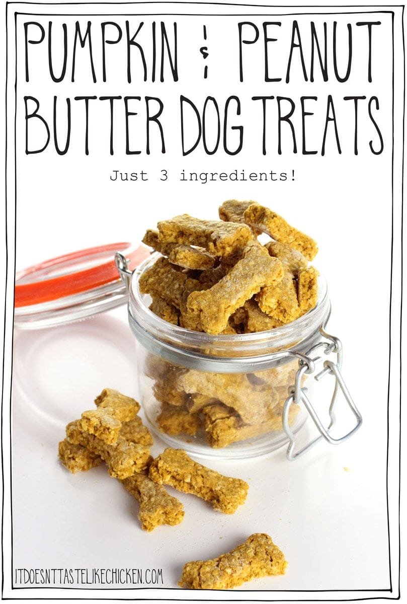 Pumpkin & Peanut Butter Dog Treats