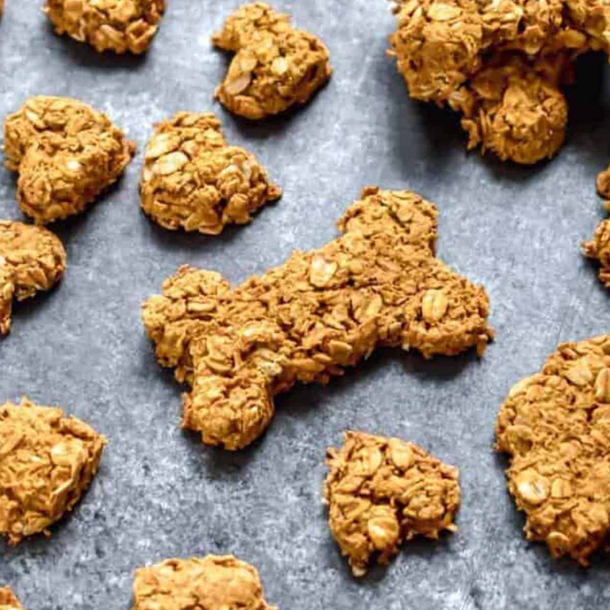 Crunchy Pumpkin Peanut Butter Dog Treats