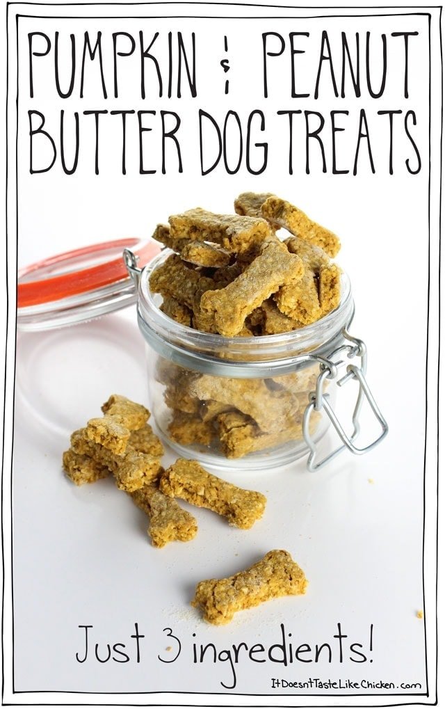 Pumpkin & Peanut Butter Dog Treats