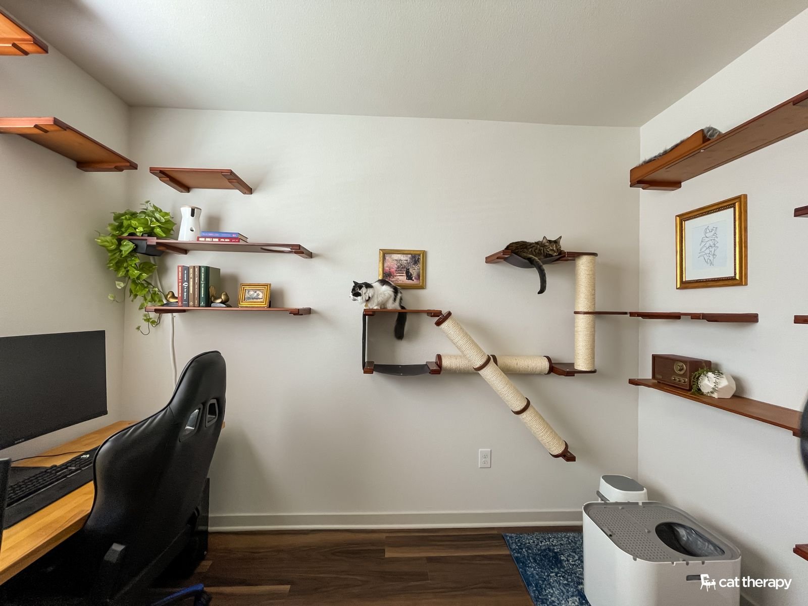 8 Cat Living Room Ideas for a Purrfect Space - PawWise Daily