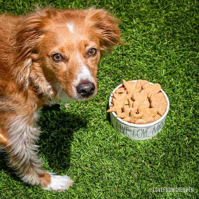 Easy Peanut Butter Dog Treats